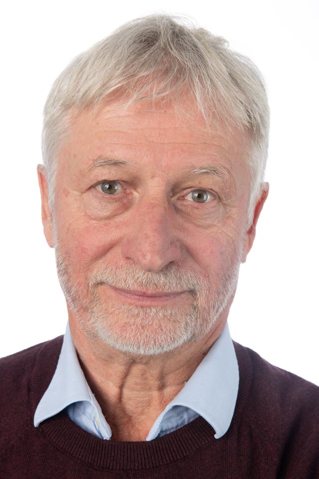 Ulrich F. ist ein männliches  Model mit grün-braunen Augen und grauen Haaren aus Stuttgart